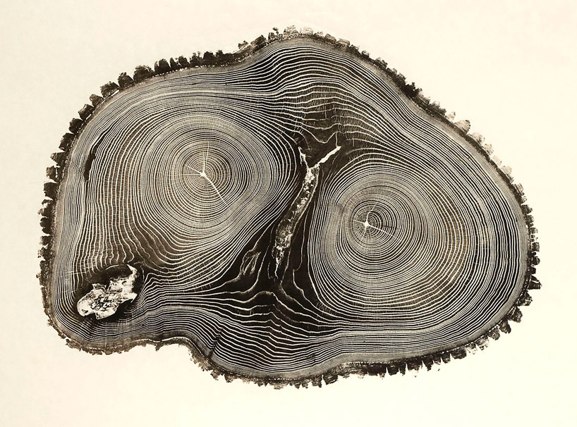 Seven Printmaking Ideas You Haven't Tried