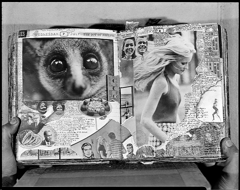 Peter Beard's Journal