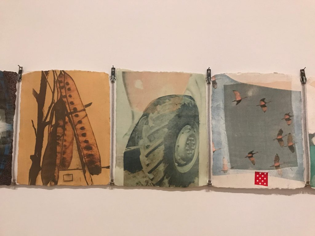  Robert Rauscenberg image transfers