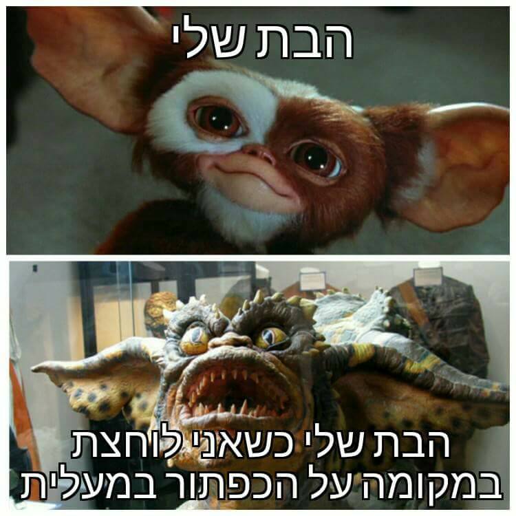 meme
