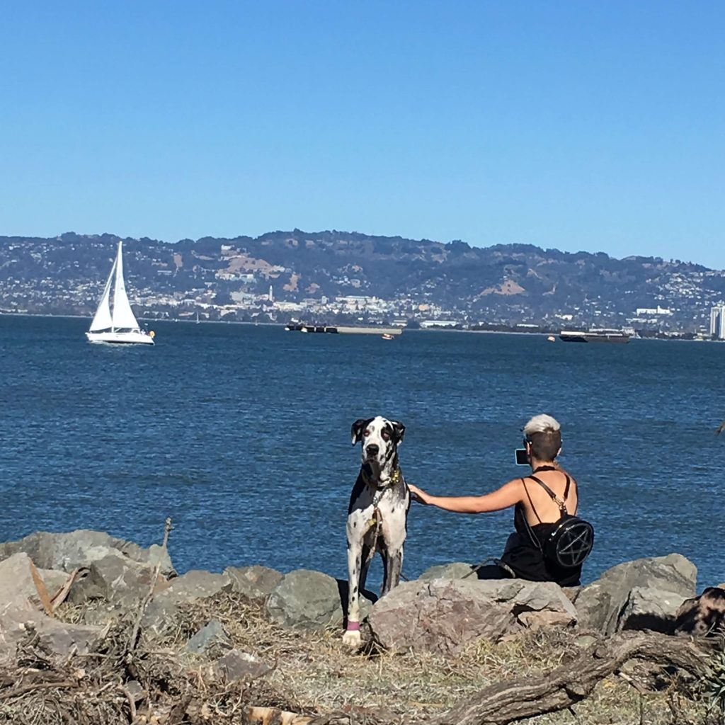 Treasure Island Flea