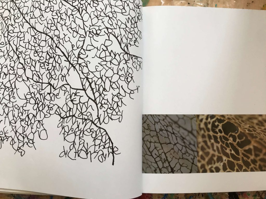 Calligraphy by Denise Latch