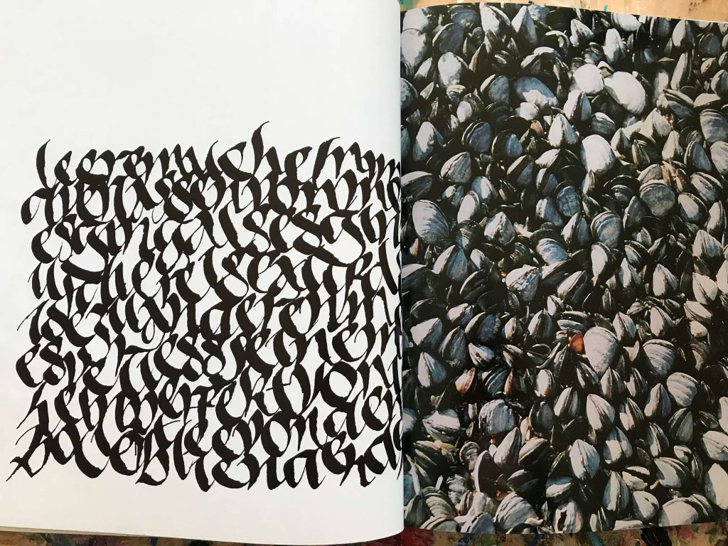 Calligraphy by Denise Latch