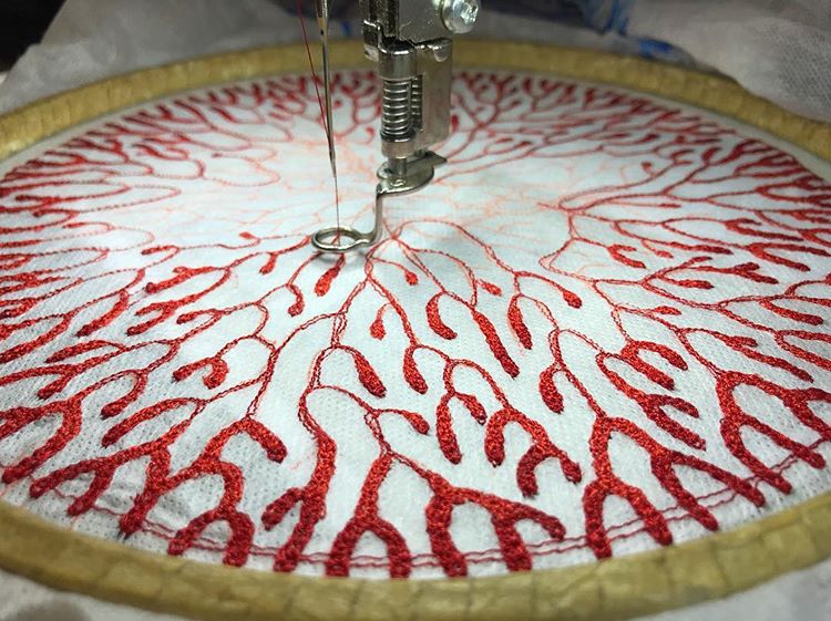 Meredith Woolnough
