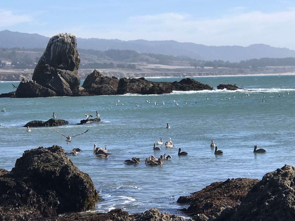 Pescadero, California