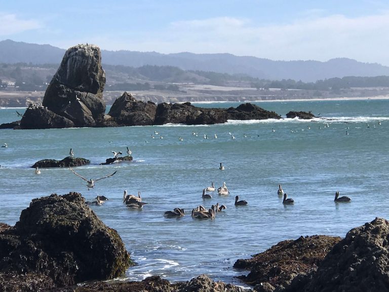 Pescadero, California