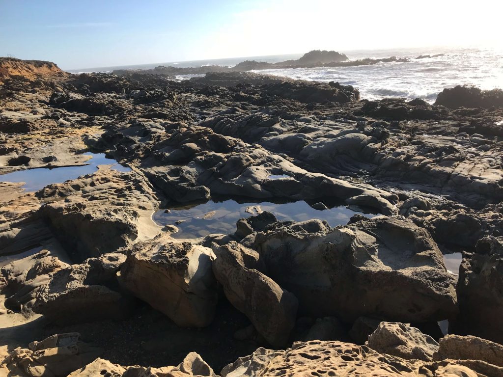 Pescadero, California
