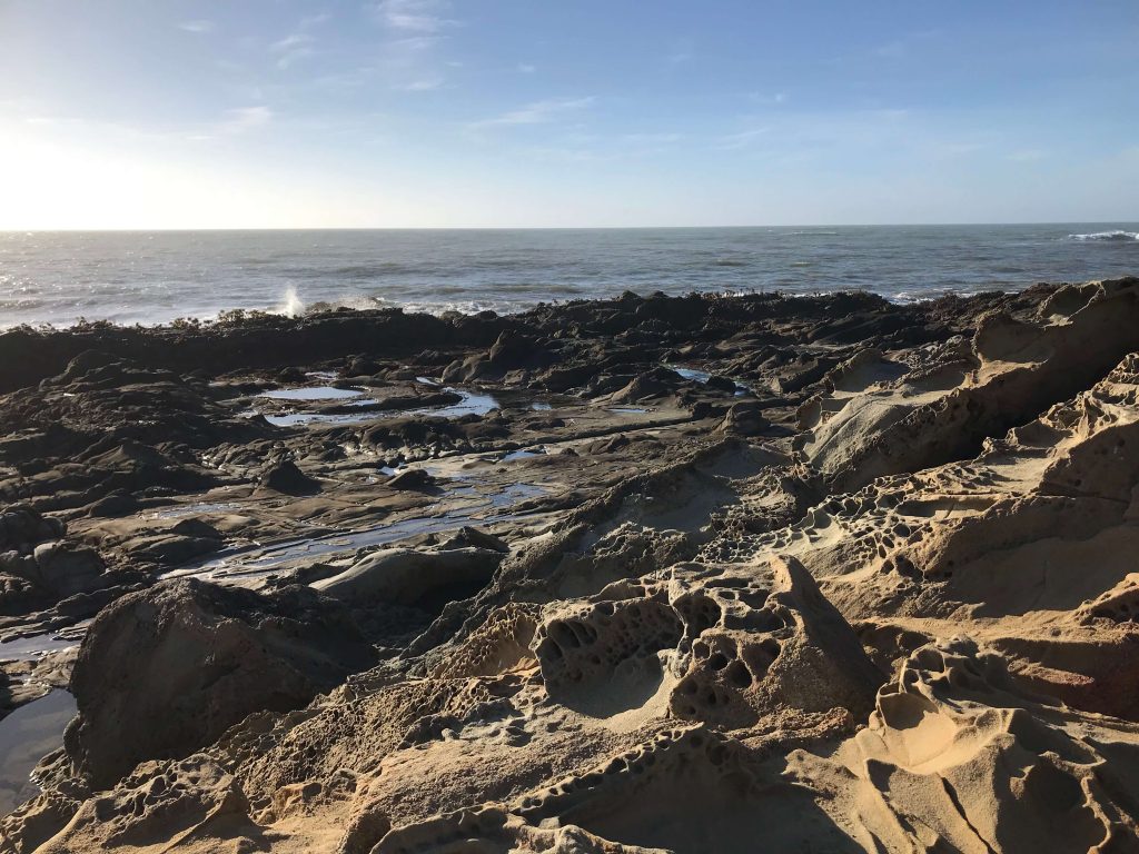 Pescadero, California
