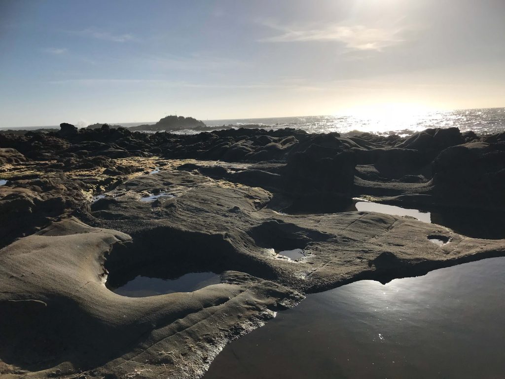 Pescadero, California