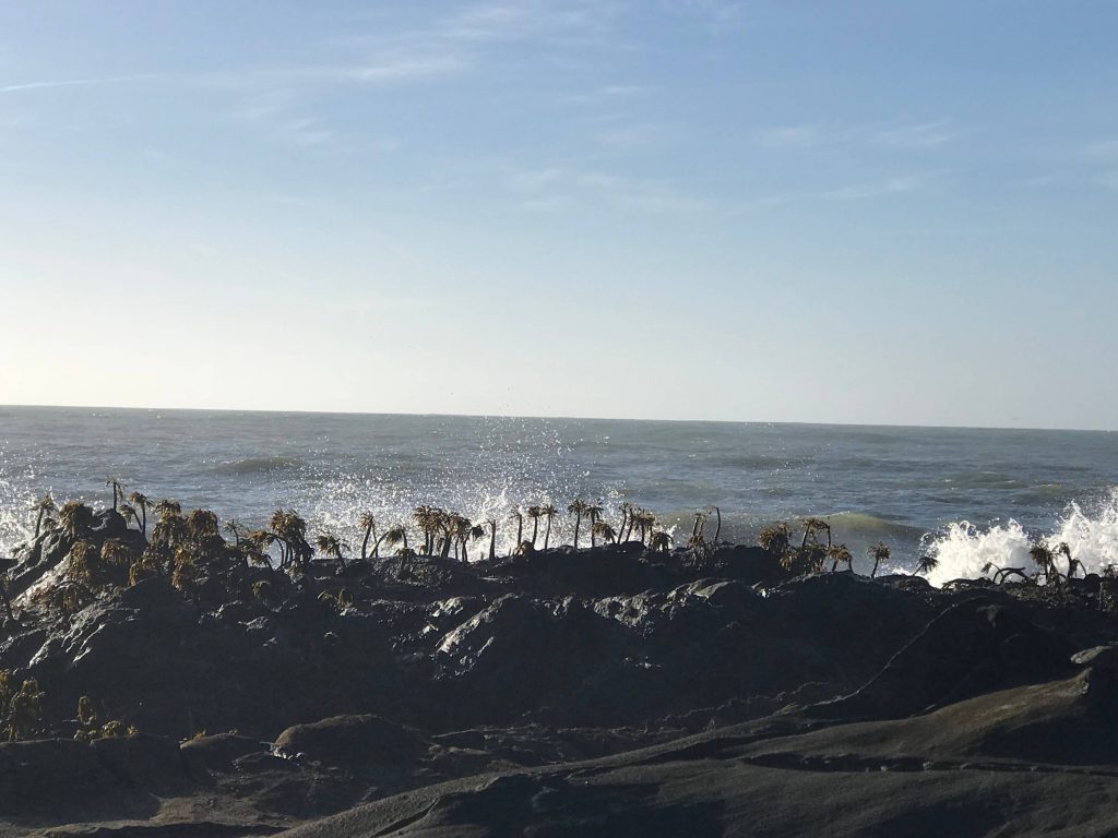 Pescadero, California