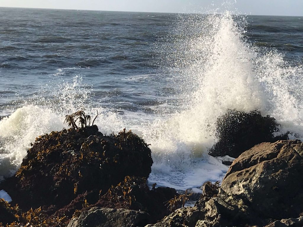 Pescadero, California