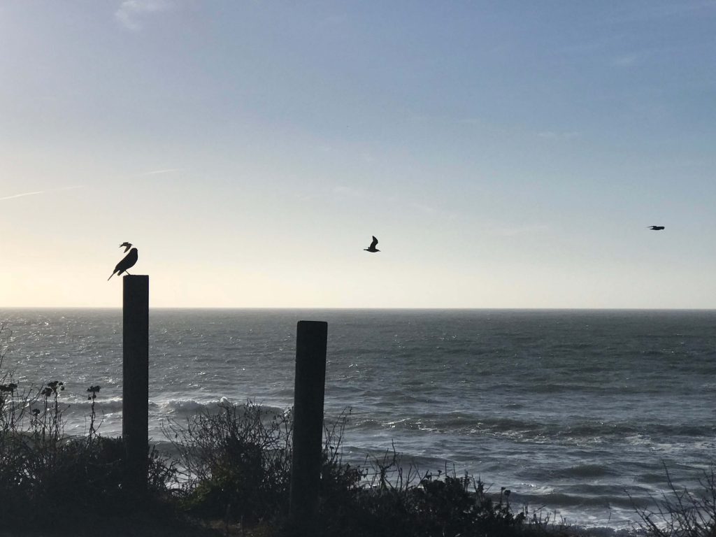 Pescadero, California