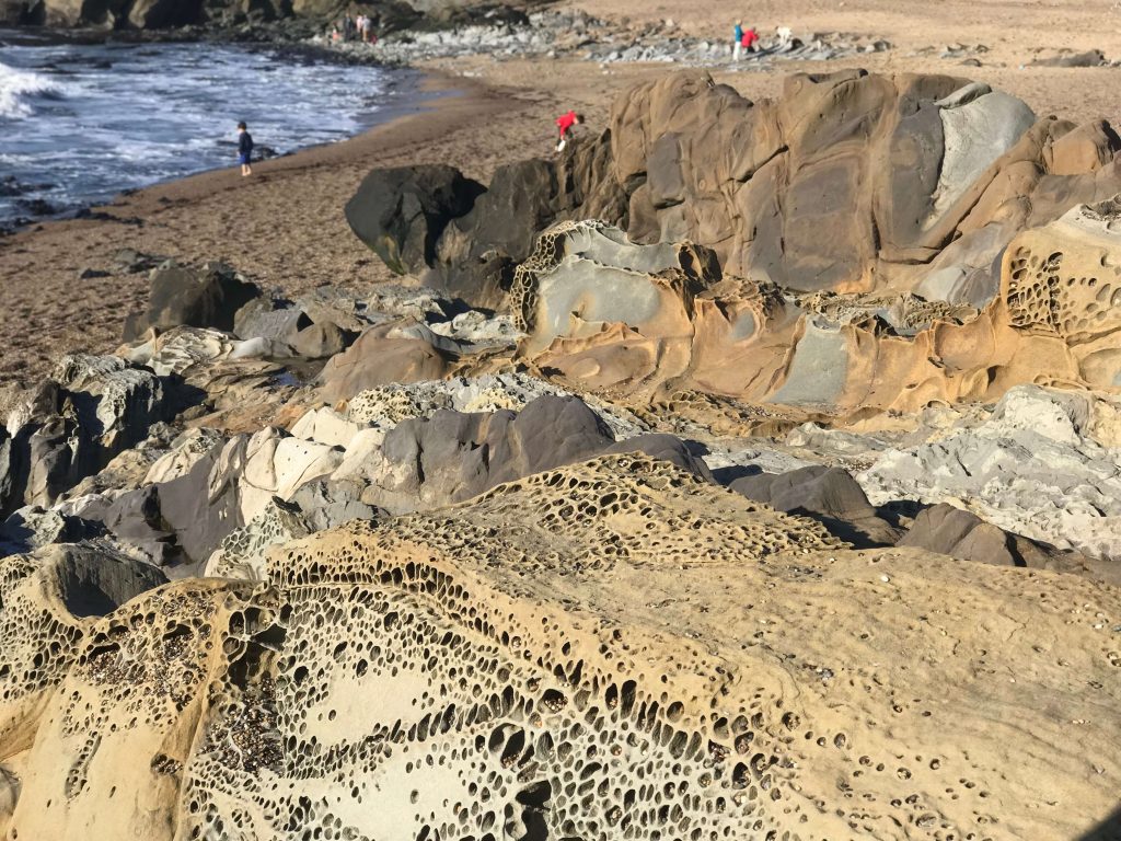 Pescadero, California