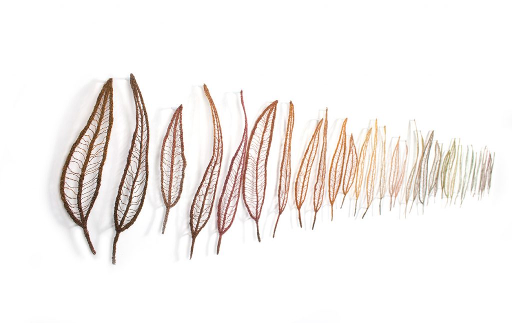 Meredith Woolnough