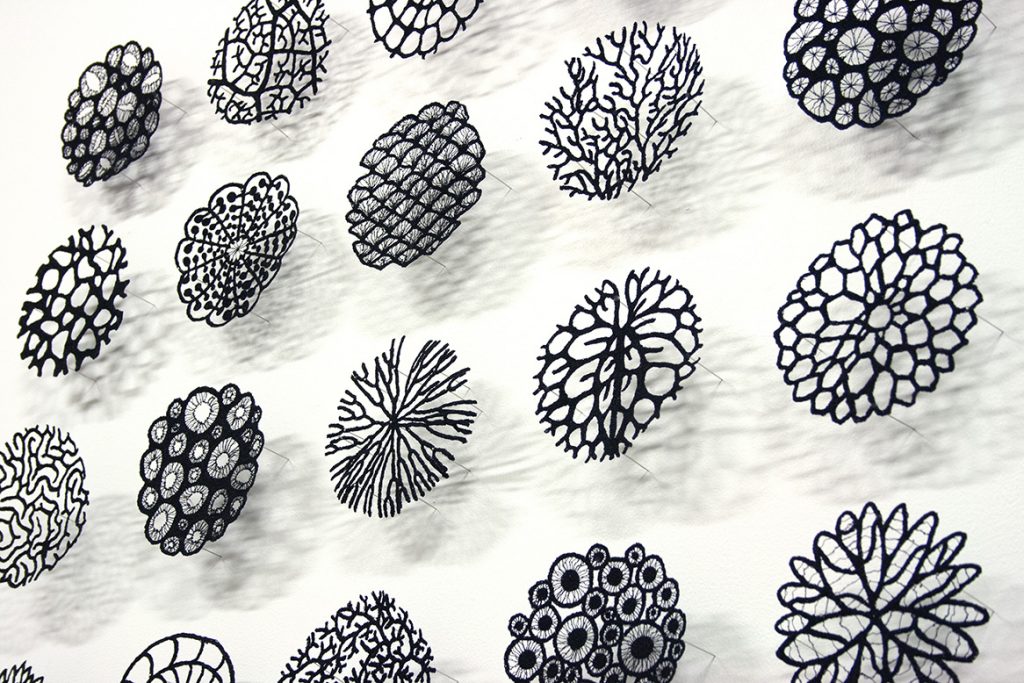 Meredith Woolnough