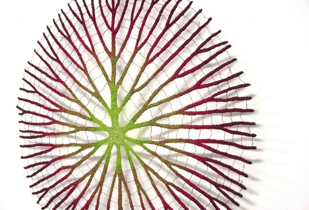 Meredith Woolnough