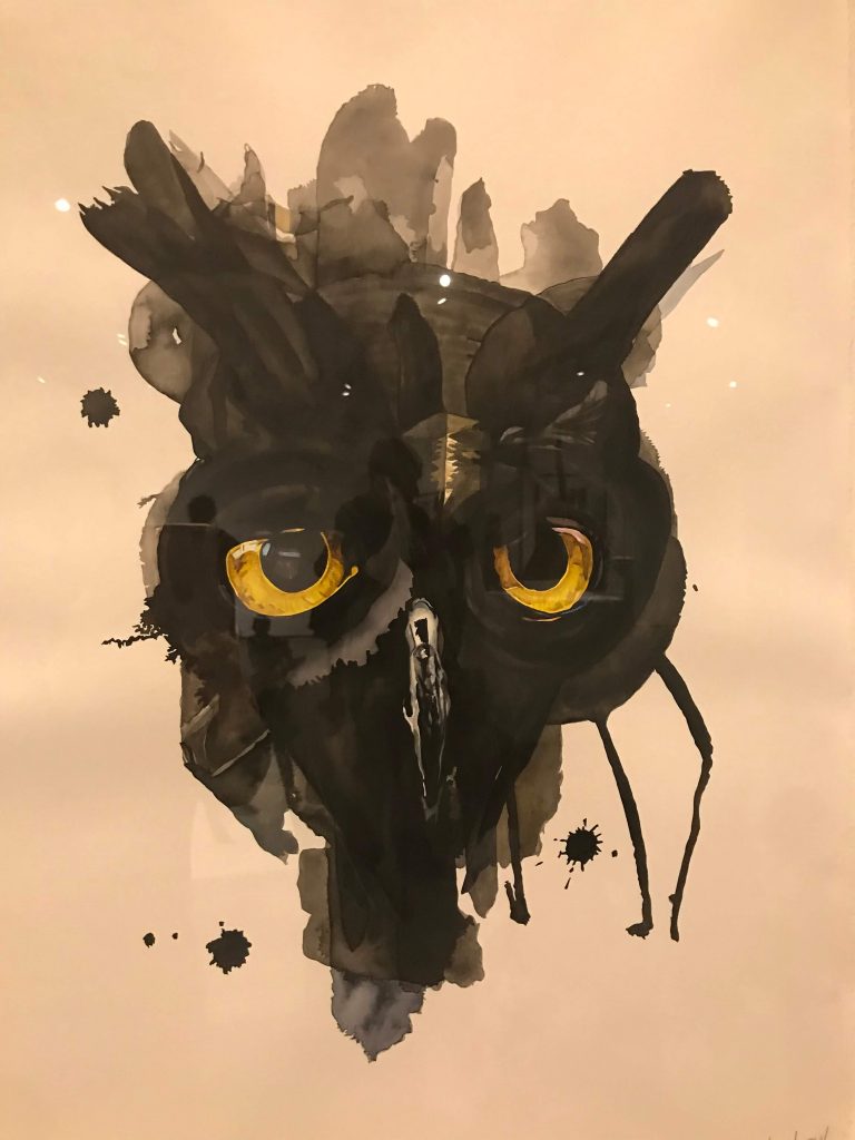 Project Look